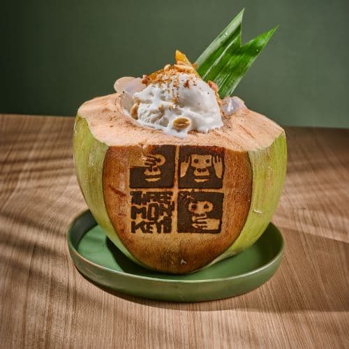 Coconut Ice Cream