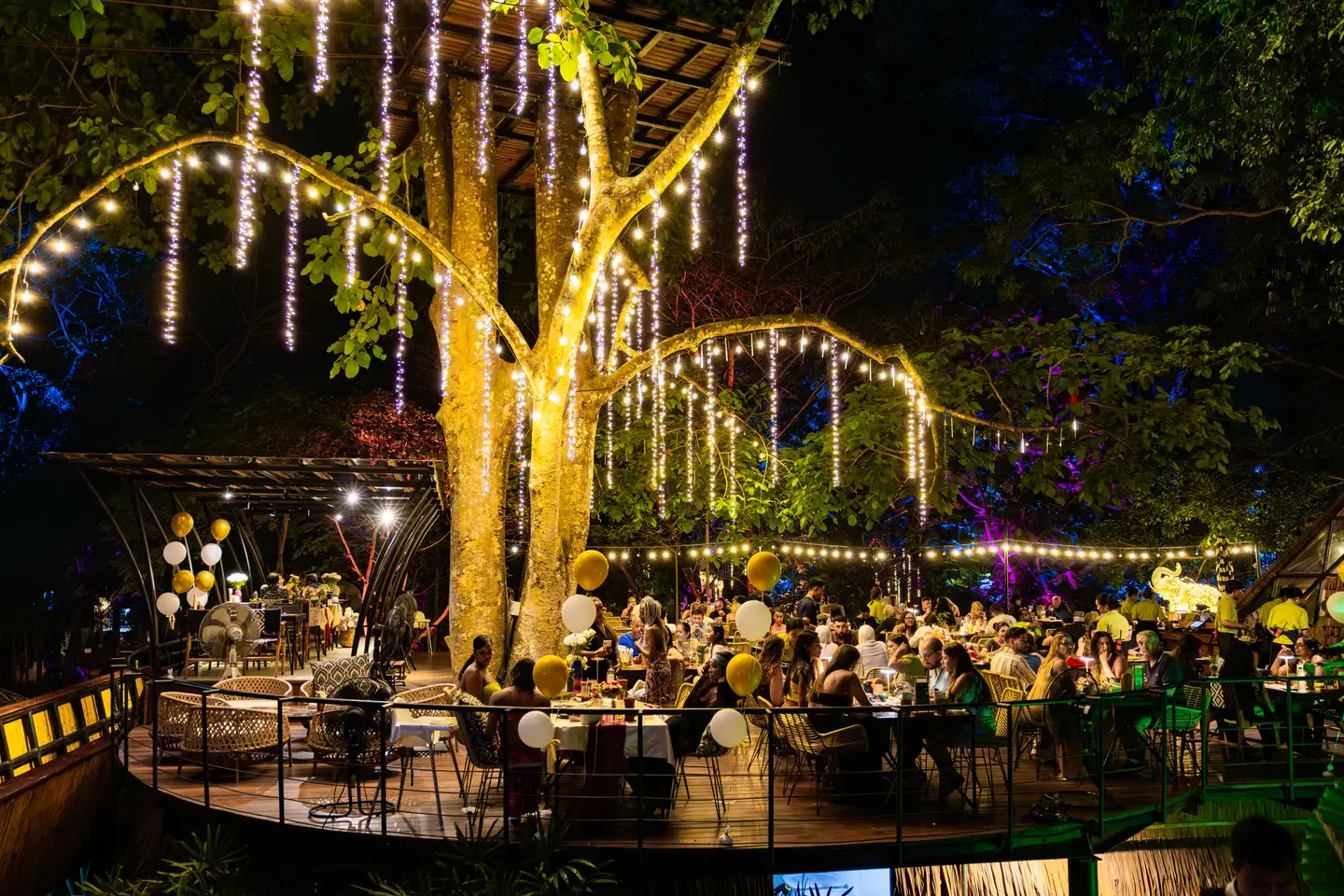 Dining tables and balloons beneath a large tree with hanging lights