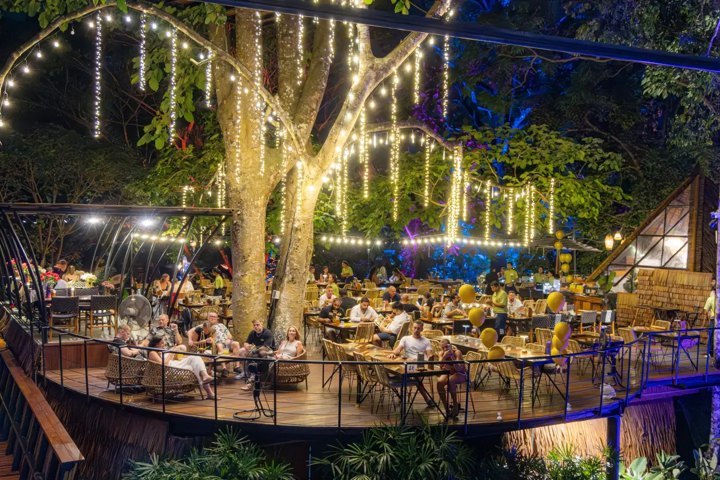Dining deck beneath an illuminated tree at Three Monkeys