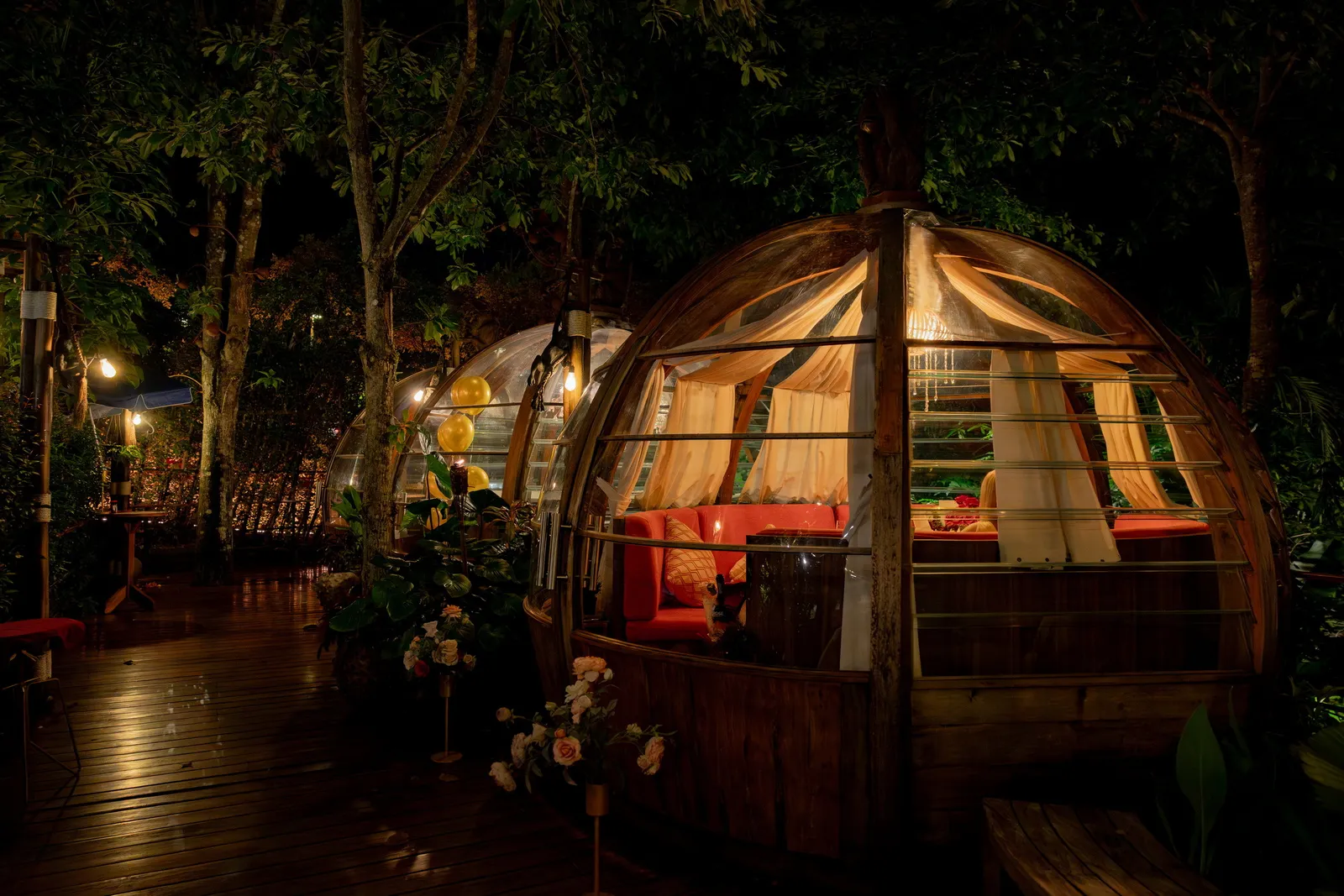 Illuminated Monkey Dome seating surrounded by trees at night