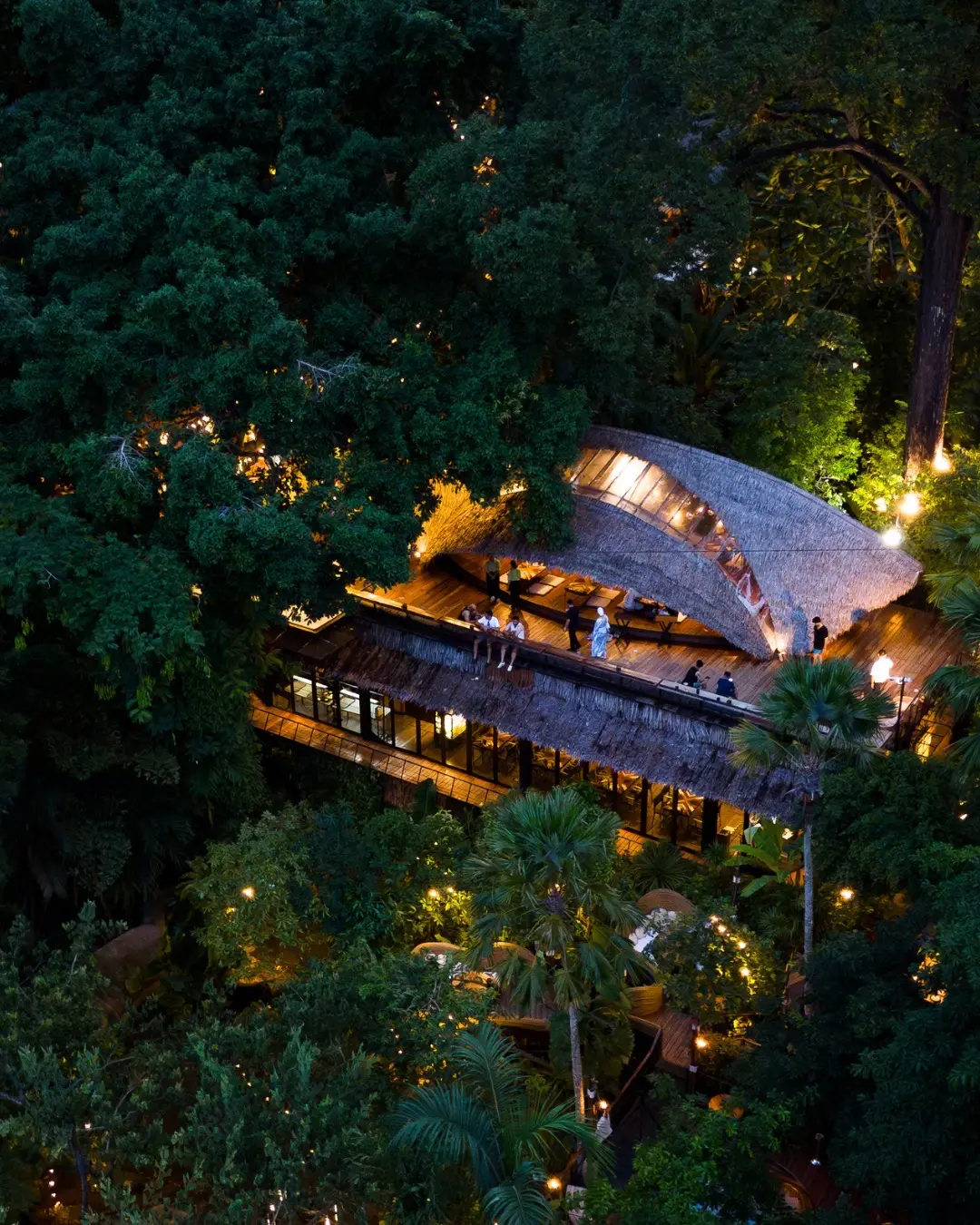 Aerial view of the illuminated Three Monkeys building among dense trees