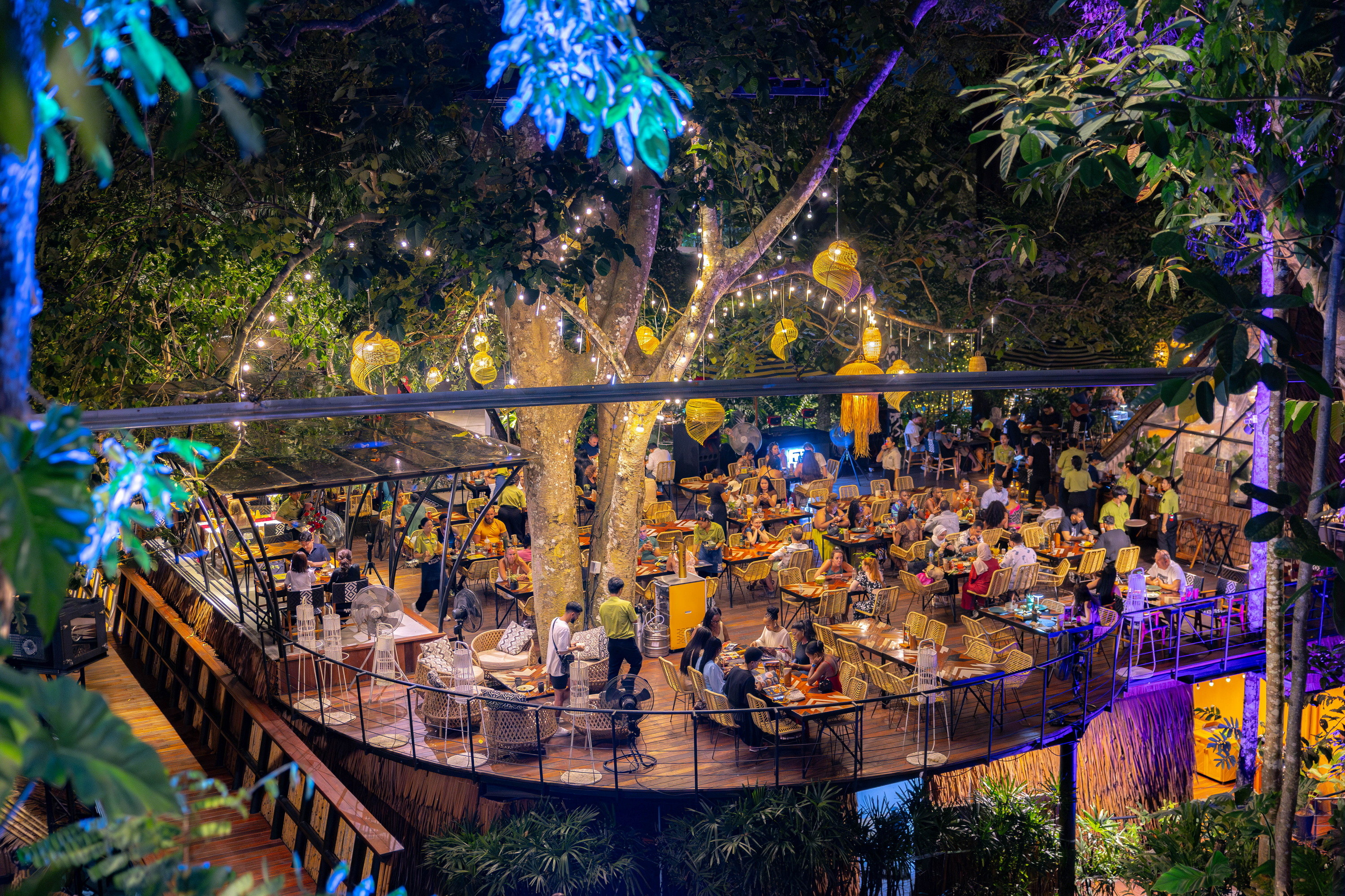 Rainforest