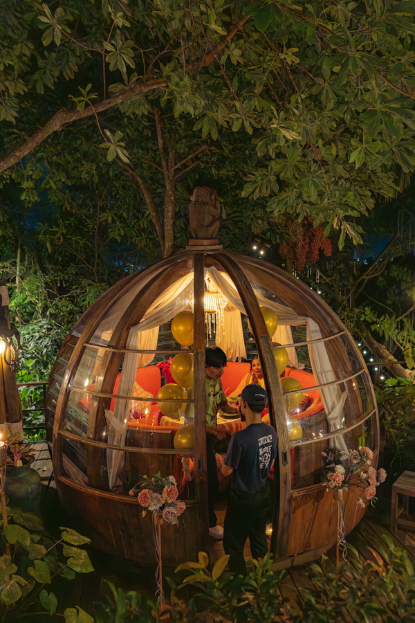 Monkey Dome