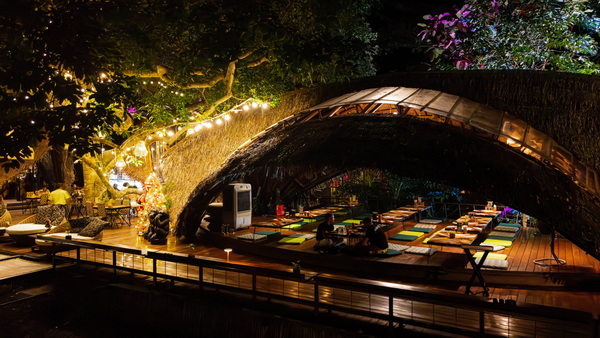Rainforest Location